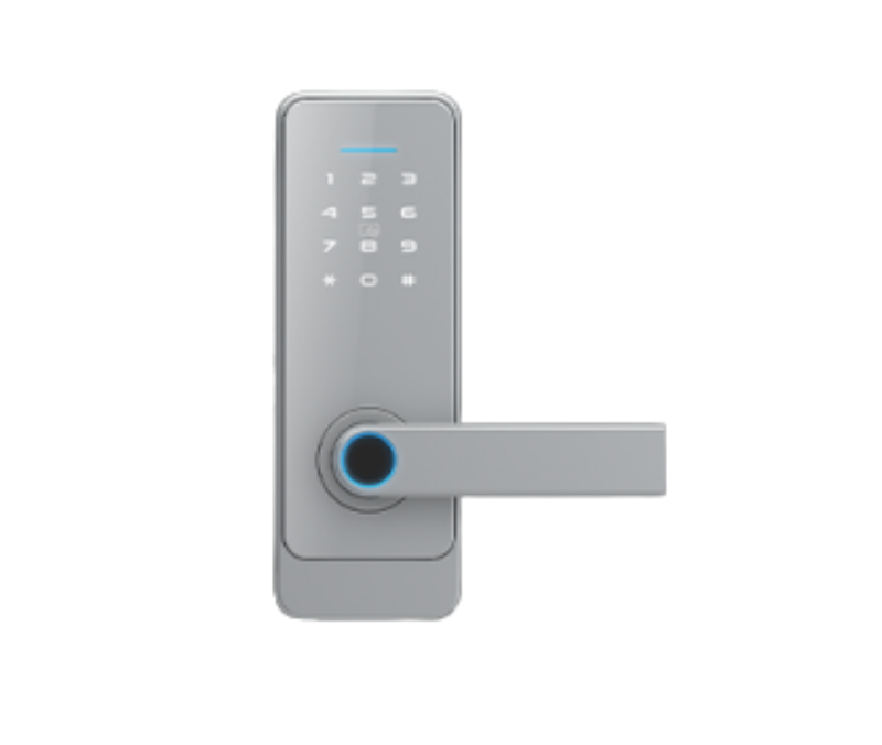 LS-C89 6-in-1 Silver Smart Lock