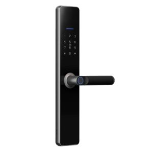 LS-A61 5-in-1 Smart Lock