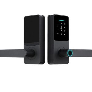 C82A-TTLOCK Smart Fingerprint Lock